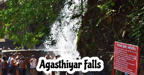 Agasthiyar Falls