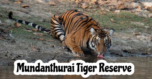 Mundanthurai Tiger Reserve